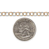 Gold filled and silver chain with a quarter dollar coin on a white background